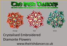 Load image into Gallery viewer, Crystal Embroidered Flowers